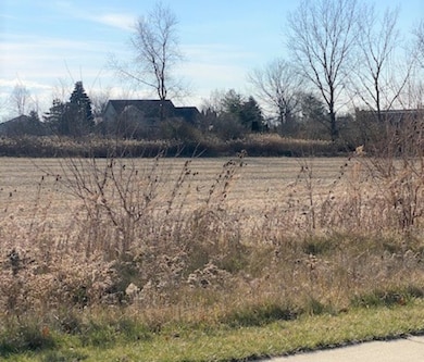 15355 W 159th St, Lockport, IL - photo 2