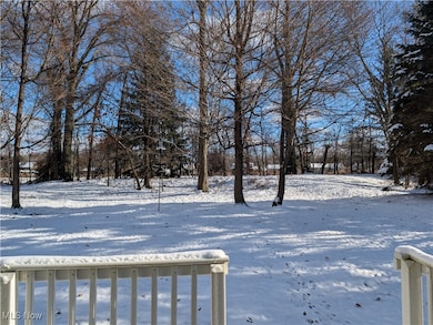 6723 N Ivy Ln, Cleveland, OH 44130 - photo 4