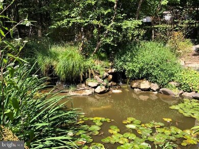 496 Wild Apple Ln, Paw Paw, WV 25434 - photo 5