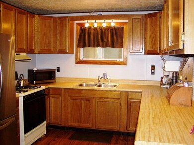 628 Summit St, Vanderbilt, MI 49795 - photo 4