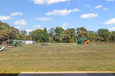 7009 Hydrangea Rd, Coulterville, IL 62237 - photo 7