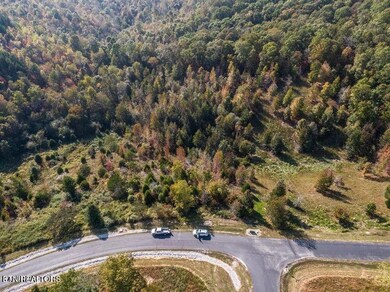 0 Emerald Pointe unit RTC2968376, Rockwood, TN 37854 - photo 2