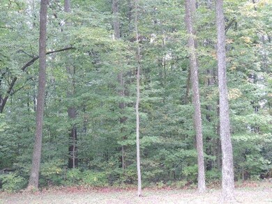 10636 Kress Rd, Roanoke, IN 46783 - photo 5