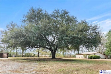 618 E Cricklewood Dr, Florence, SC 29505 - photo 4