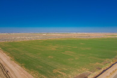 DJI_0029