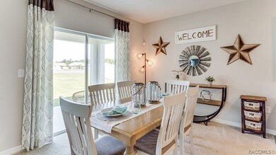 3403 N Michener Point, Beverly Hills, FL 34465 - photo 4