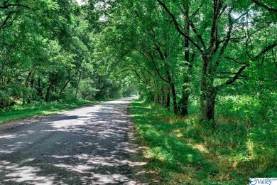 1300 Stella Rd, Prospect, TN 38477 - photo 5