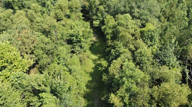 DJI_0177