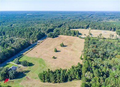 TBD Louisiana 507, Harmon, LA 71019 - photo 7