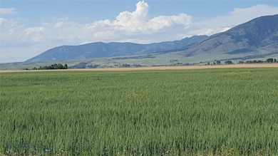 TBD Roads, Belgrade, MT 59714 - photo 3