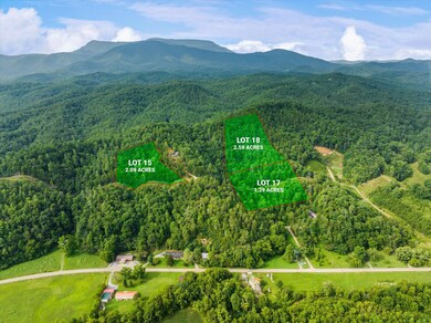 05-4443-Jones-Cove-Rd-Cosby-TN-5