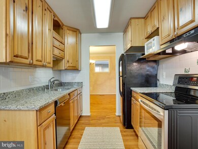 12834 Fantasia Dr, Herndon, VA 20170 - photo 6