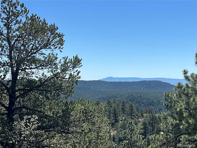 14200 County Rd 28 8, Weston, CO 81091 - photo 7