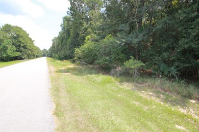 3 Deer Lodge Rd, Magnolia, TX 77354 - photo 2