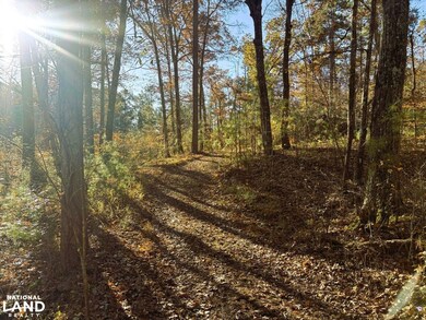 0 Pocket Rd, Lafayette, GA 30728 - photo 4