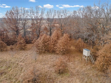 0 Hwy 65 & Cr 210 Hwy unit HMS2592020, Bogard, MO 64622 - photo 3