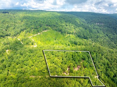 10-web-or-mls-DJI_20250711080834_0783_D-