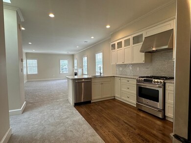 17 Davis Ave unit 2, Brookline, MA 02445 - photo 4