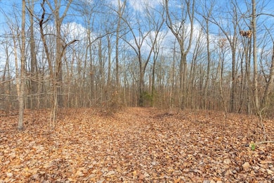 13 acres Percheron Dr NW, Dalton, GA 30720 - photo 3