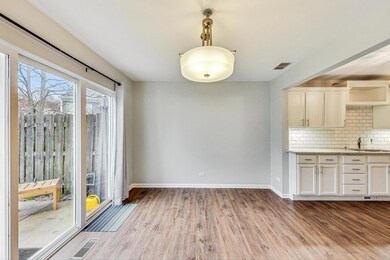 3931 Garnette Ct, Naperville, IL 60564 - photo 6