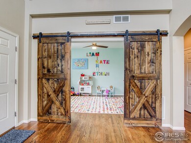 Barn Doors Entering Study
