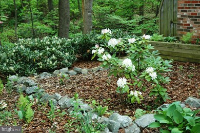 776 Rolling View Dr, Annapolis, MD 21409 - photo 3