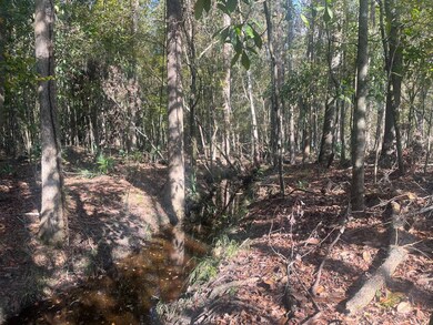 TBD Pulaski Dr E, Hampton, SC 29924 - photo 5