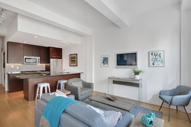 40 Fay St unit 407, Boston, MA 02118 - photo 5