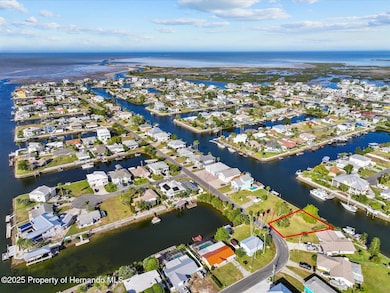 3485 Gulf Coast Dr, Hernando Beach, FL 34607 - photo 5