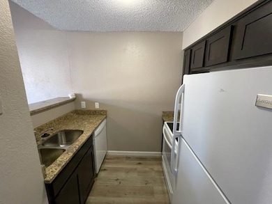 327 SE 3rd St unit 101, Grand Prairie, TX 75051 - photo 6