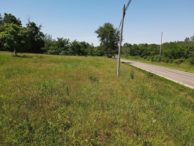 000 S Highway 97, Benton Township, MO 64756 - photo 3
