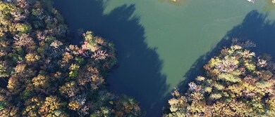 36(1)33 Jessie Dupont Memorial Hwy, Heathsville, VA 22473 - photo 3