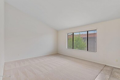 5-web-or-mls-DSC02313