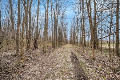 41177 38th Ave, Paw Paw, MI 49079 - photo 6