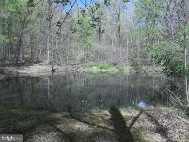 0 Wild Turkey Ct, Front Royal, VA 22630 - photo 3