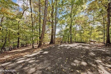 8832 Cove Point Ln, Knoxville, TN 37922 - photo 6