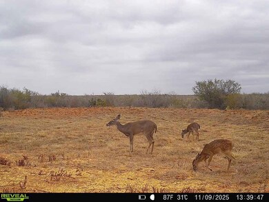 0 County Road 203 unit 25565276, San Jose, TX 78332 - photo 3