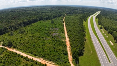 0 Old Saint Stephens Rd, Grove Hill, AL 36451 - photo 3