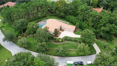 Ariel View