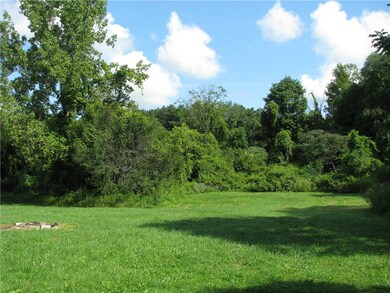 Cleared land for potential house build