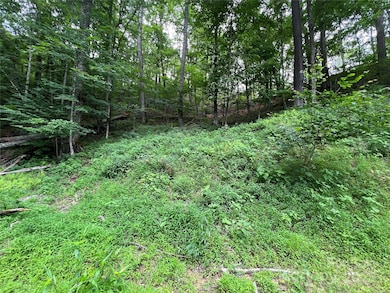 0 Chestnut Ln unit Lot 84, Mars Hill, NC 28754 - photo 7