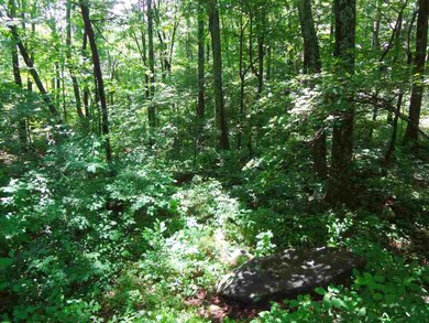 4 Laurel Ct unit LAUREL RIDGE 99, Nellysford, VA 22958 - photo 6