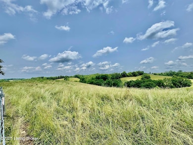 3650 Baker Ridge Rd, Willisburg, KY 40078 - photo 3