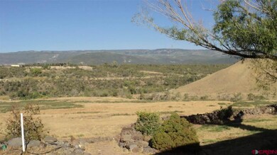 21445 R Rd, Cedaredge, CO 81413 - photo 5