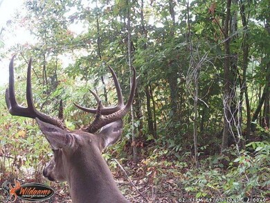 100 acres buck