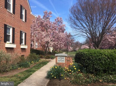 6706 W Wakefield Dr unit B1, Alexandria, VA 22307 - photo 3