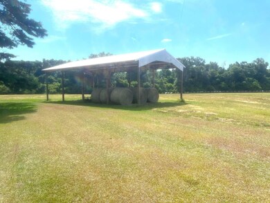 2075 Lowman Loop, Dozier, AL 36028 - photo 7