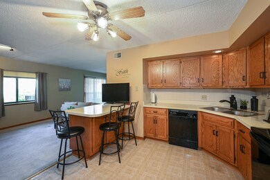 103 Caterpillar Dr unit 2D, Joliet, IL 60436 - photo 4