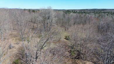 DJI_0186