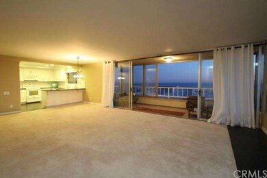 Living room, kitchen and balconies are all connect